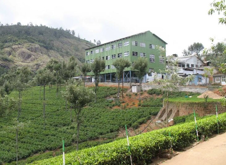 Highfield Tea Factory, Nilgiris, Tamil Nadu - Vushii.com